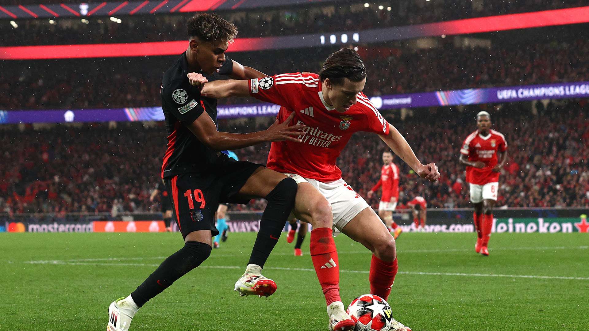 引进了数名 引进了数名